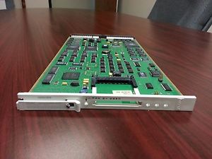 AVAYA TN794 NETCON/PKT INTFC